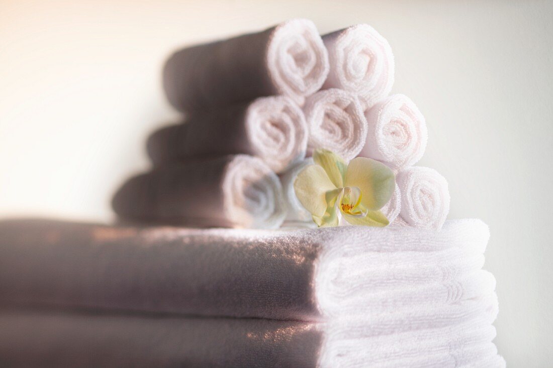 Orchid on towels