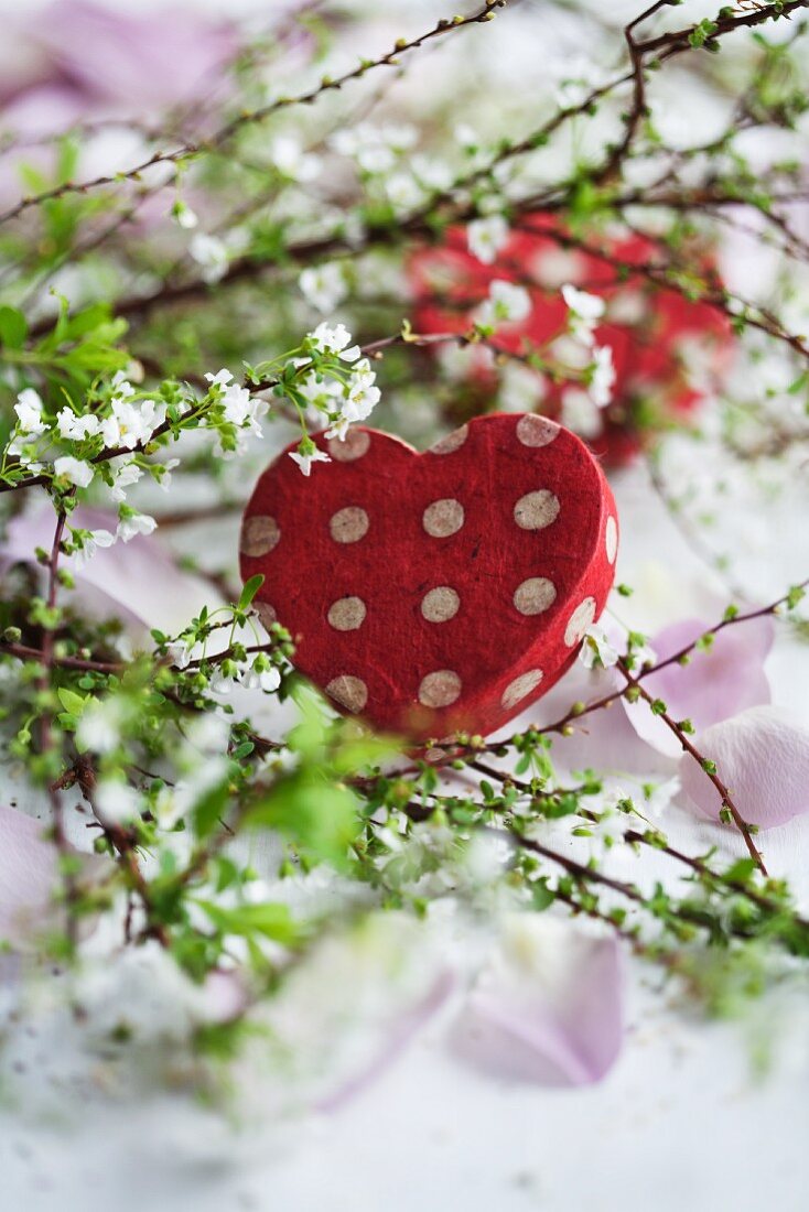 Heart-shaped box amongst flowering branches