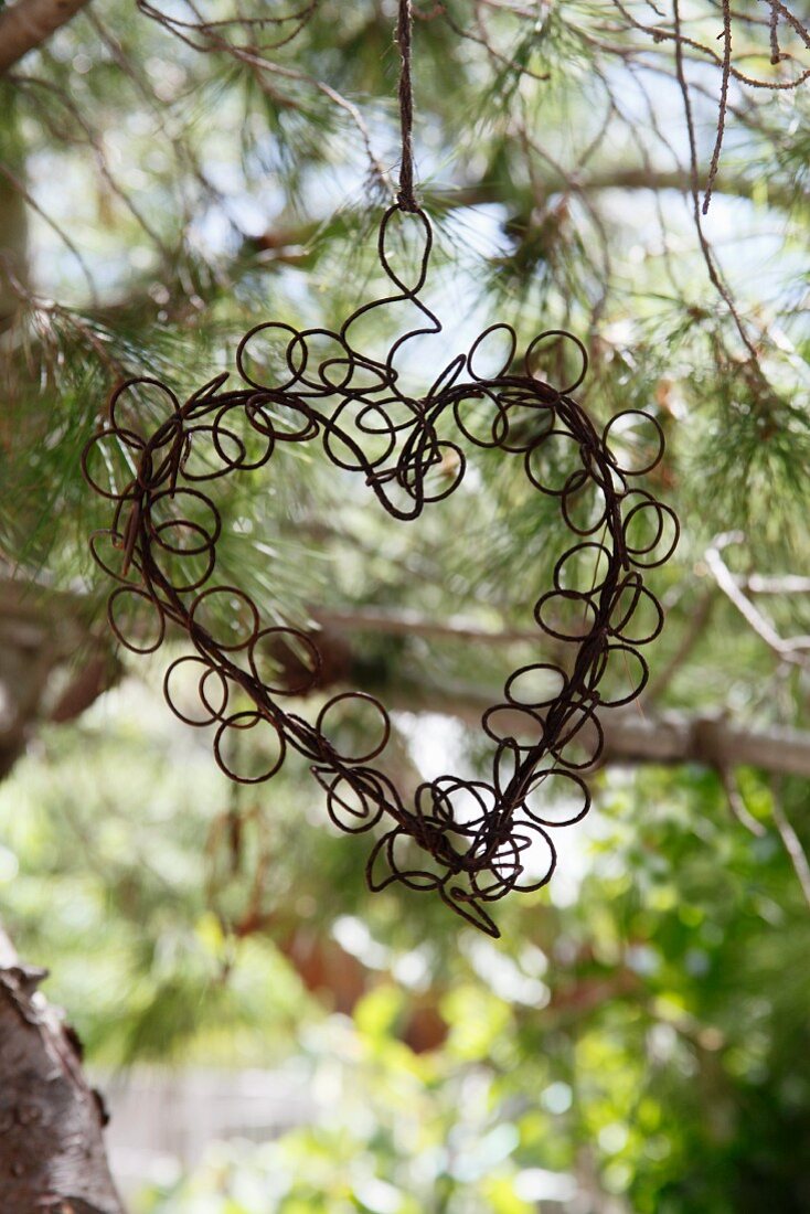 A wire heart hanging in a tree