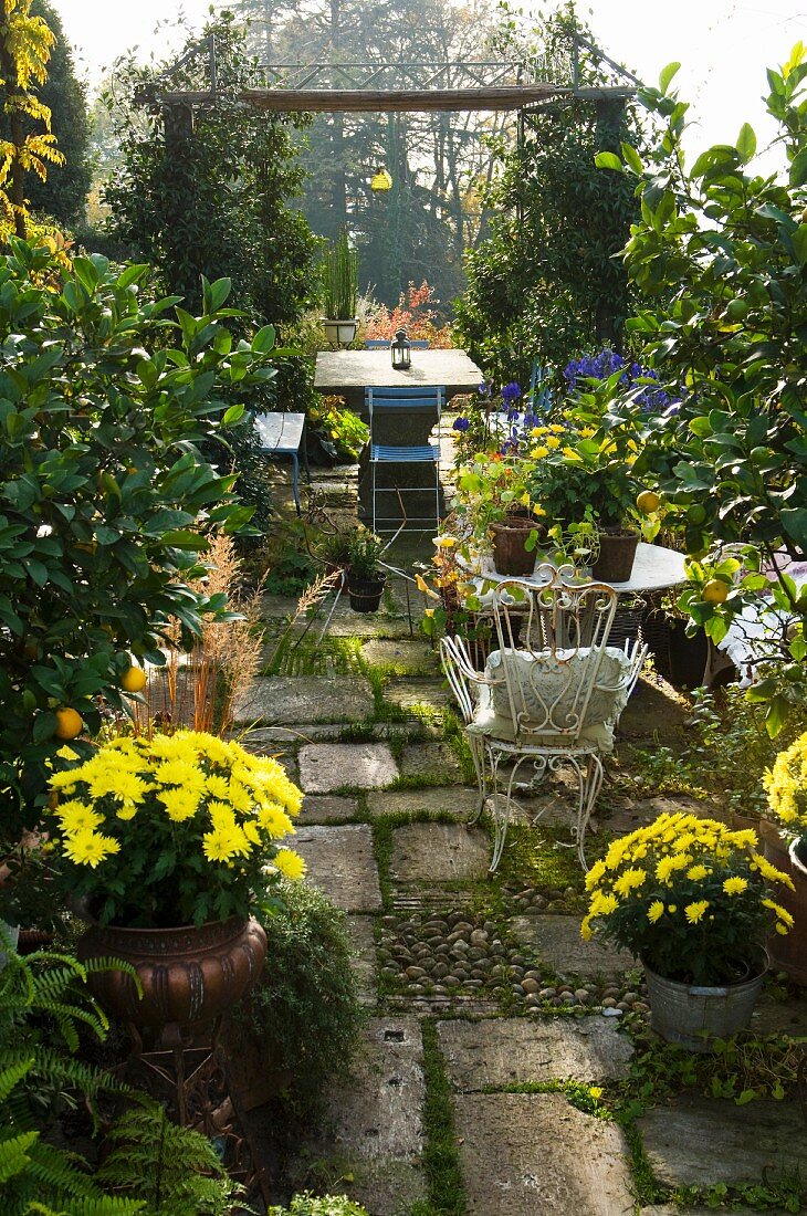 Blick auf Terrassenplatz mit blühenden Chrysanthemen in Töpfen und Gartenmöbeln