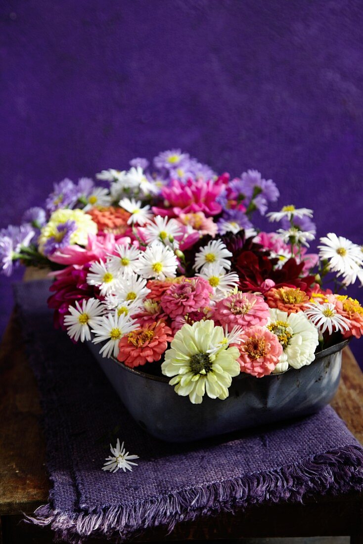 Kurzgeschnittene, spätsommerliche Gartenblumen, arrangiert in Emailleschale auf einer gefalteten, violetten Leinendecke mit Fransen