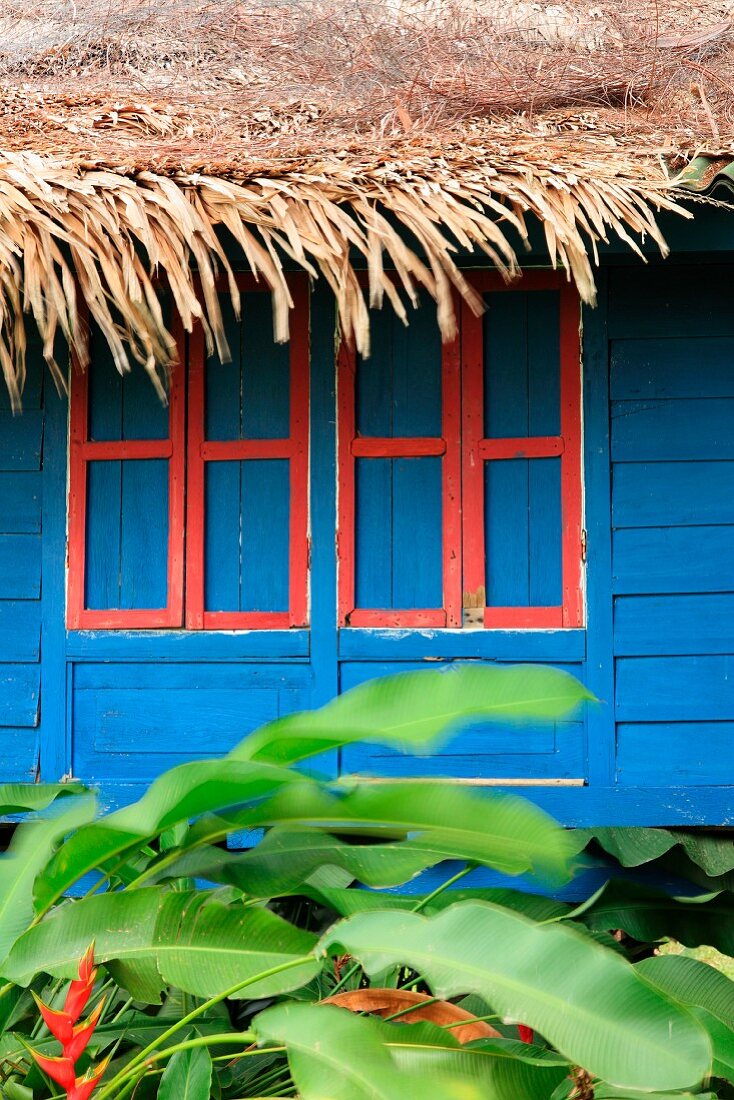 Blau gestrichene Holzhütte mit geschlossenen Fensterläden und Strohdach