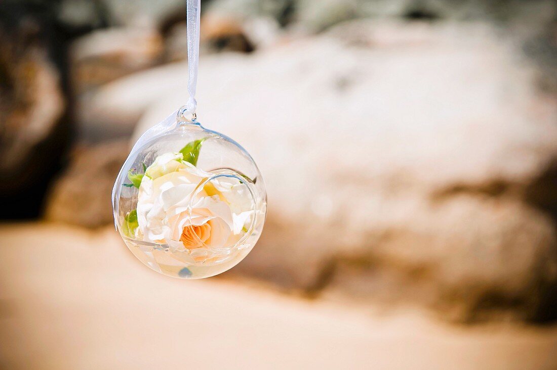 Rosenblüte in einer aufgehängten Glaskugel