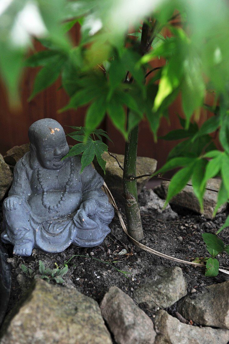 Buddhafigur aus Porzellan auf Erdboden neben Bäumchen
