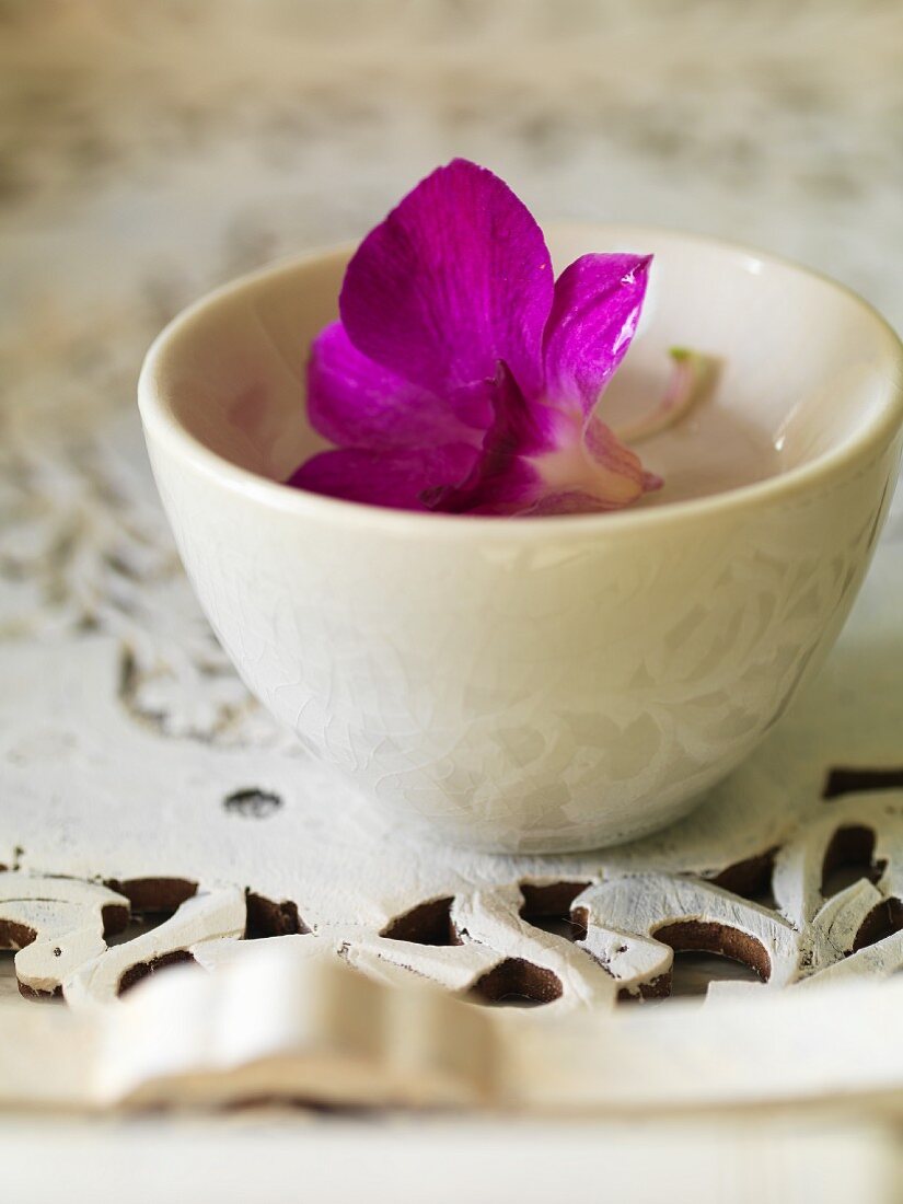 Purple flower in bowl of water