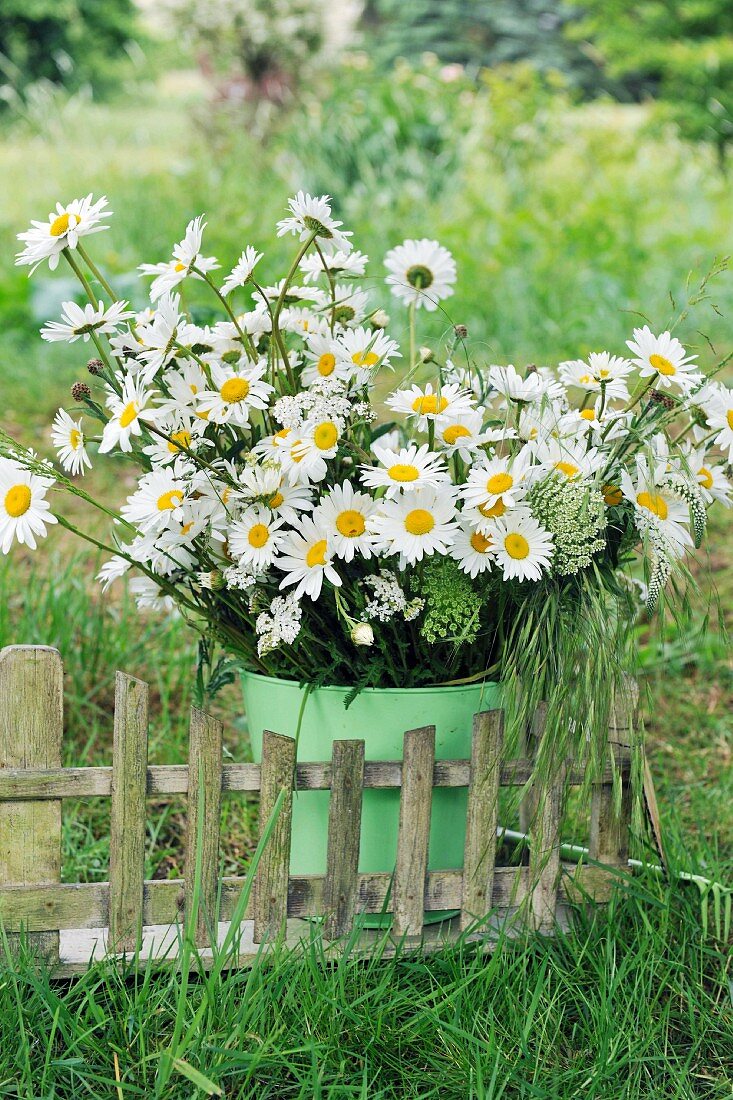 Bouquet of ox-eye daisies in metal bucket and miniature bench on lawn