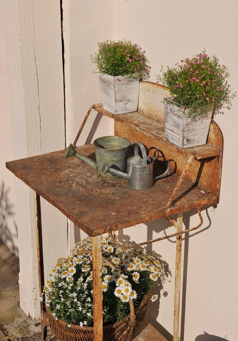 Flowerpots on rusty vintage table against outside wall