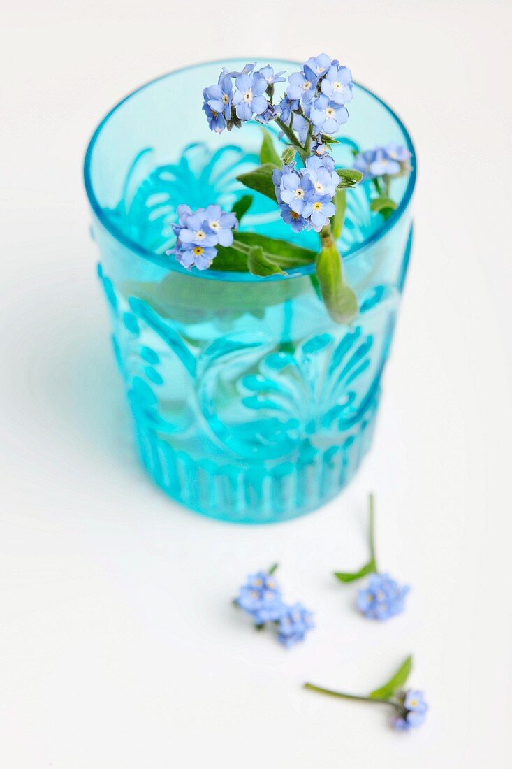 Blue flowers in light blue drinking glass with several flowers scattered below on surface