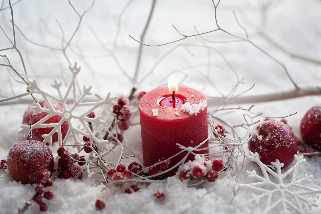 Red candle and holly berries in artificial snow