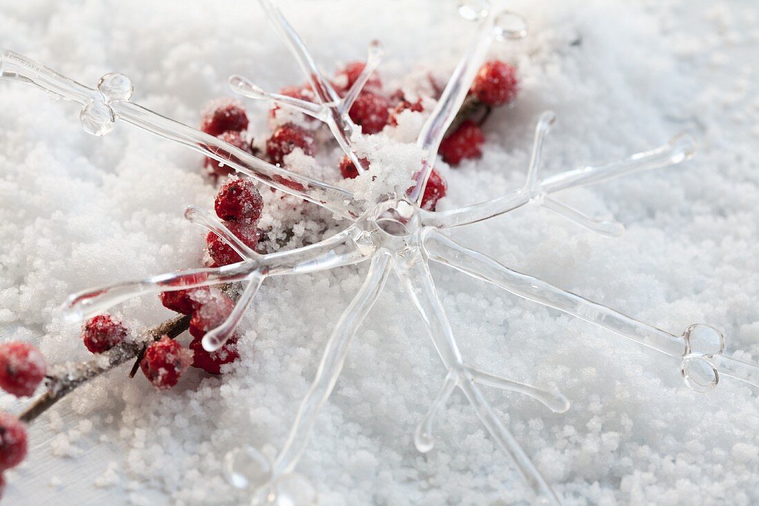 Dekostern aus Glas und Ilexbeeren im Kunstschnee