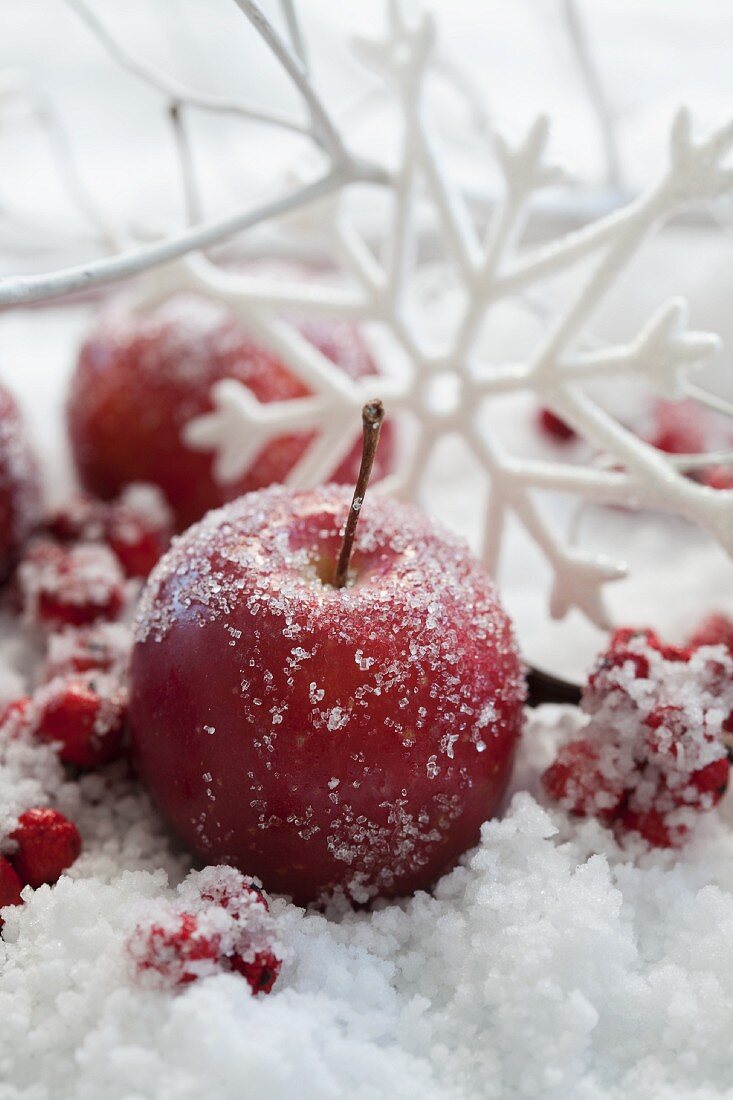 Frostige Äpfel, Ilexbeeren und Deko-Schneeflocken im Kunstschnee