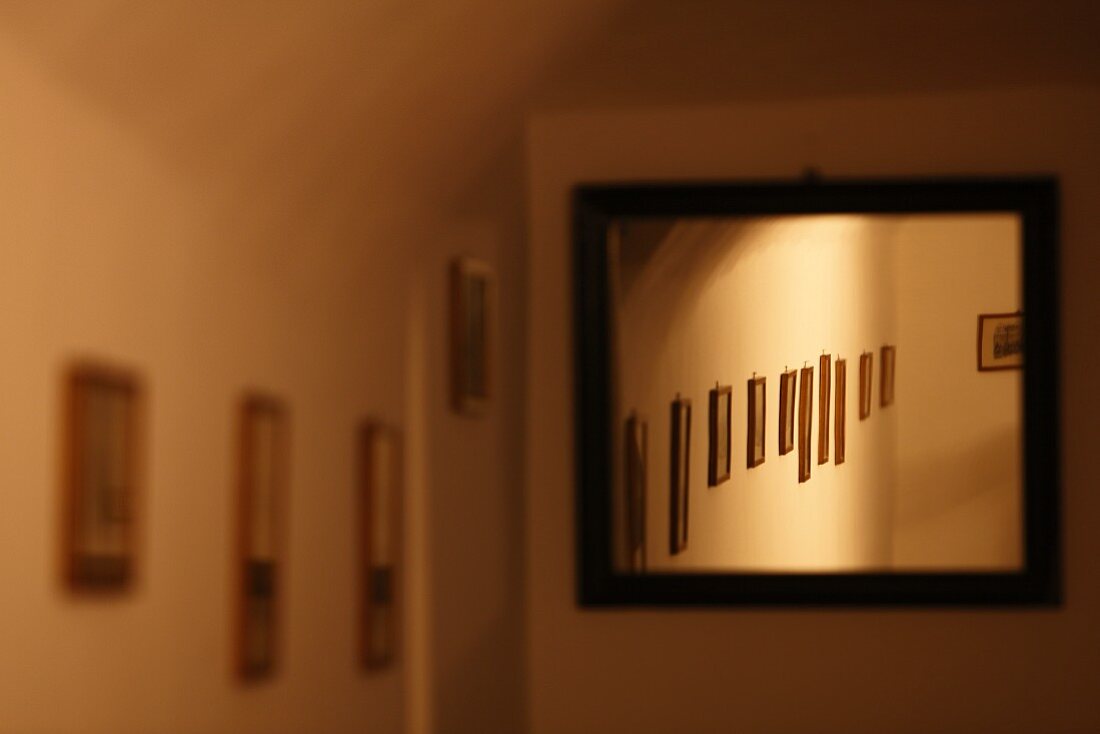 Gallery of pictures reflected in wall-mounted mirror