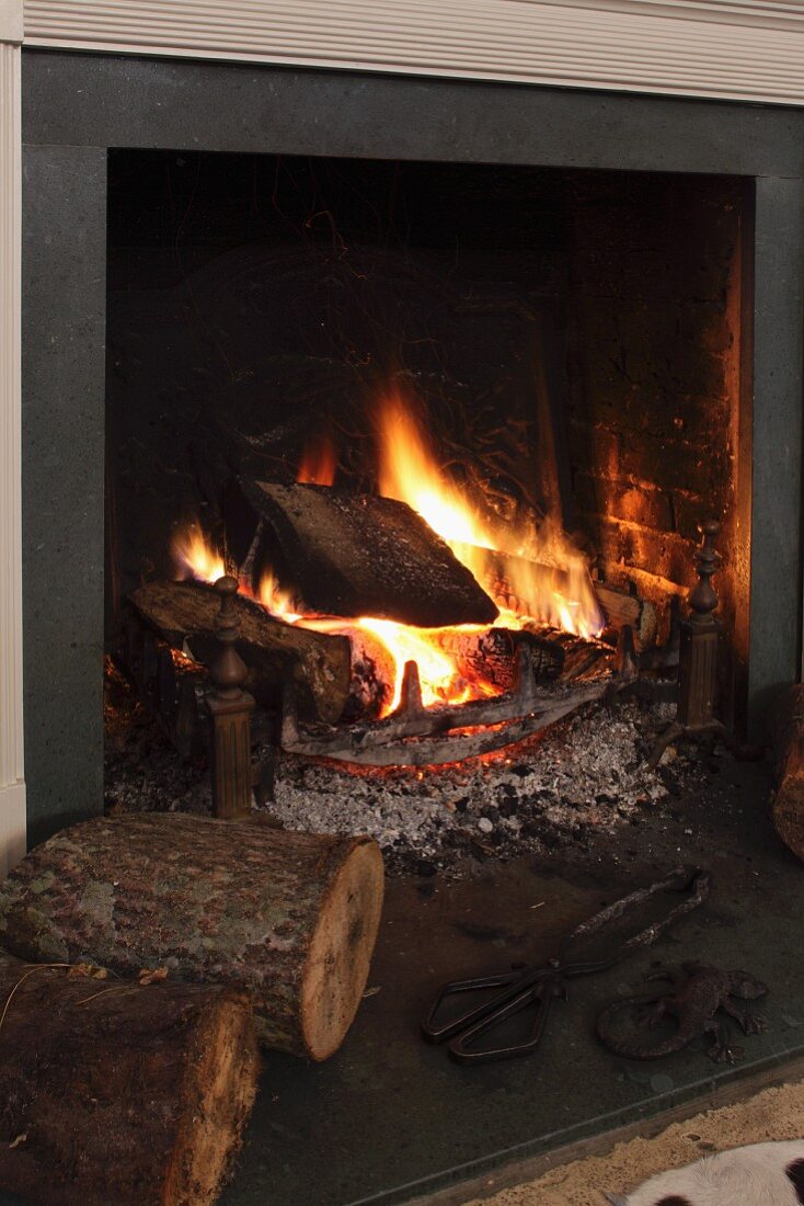 Feuer in offenem Kamin mit Brennholz und dekorative Echsenfigur aus Metall auf der Kaminbank