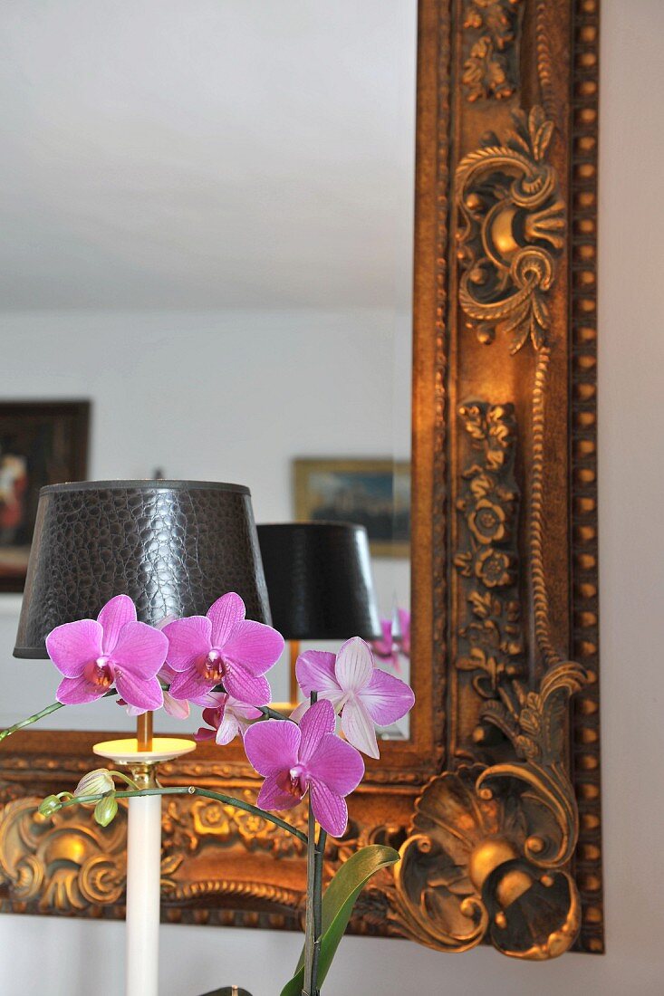 Violet orchids in front of mirror with ornate gilt frame