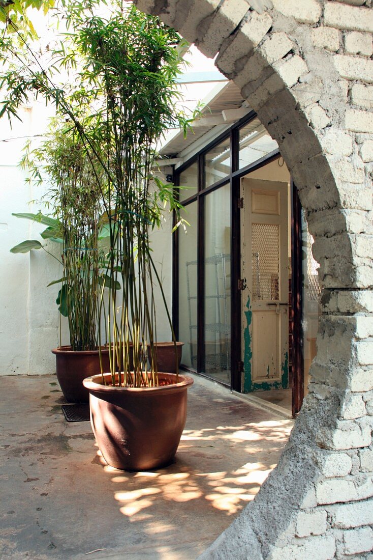 View though partially visible circular opening into courtyard with potted bamboo in front of terrace windows