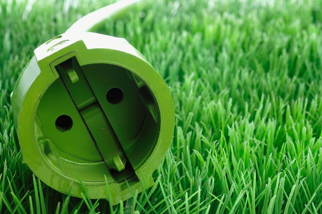 Green plug in grass