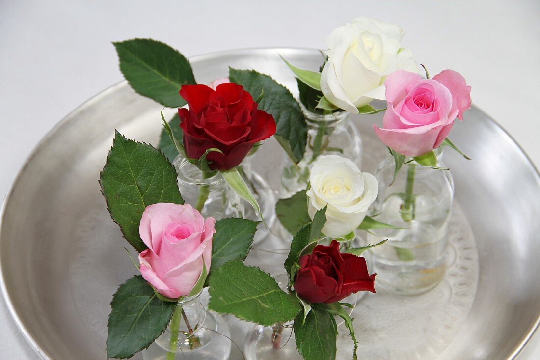 Verschiedene Rosen in Glasvasen auf Tablett