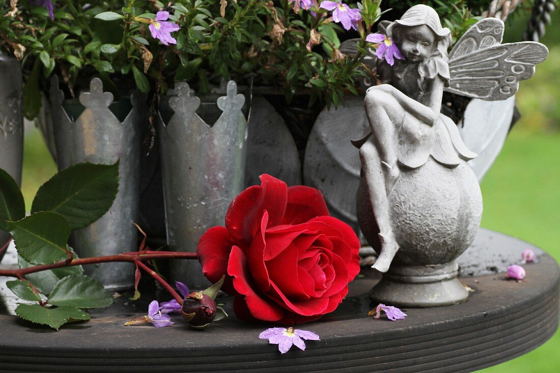 Rote Rosenblüte mit Elfenfigur und Zinkvasen