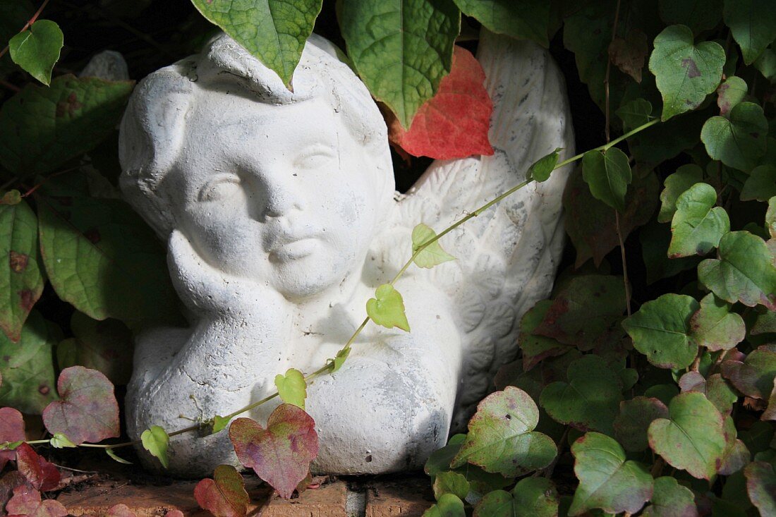 Angel bust amongst Virginia creeper