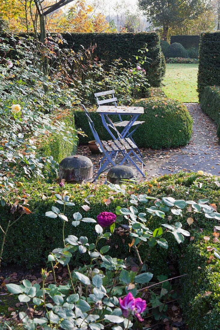 Autumnal atmosphere in park-like garden - seating area in last rays of sun