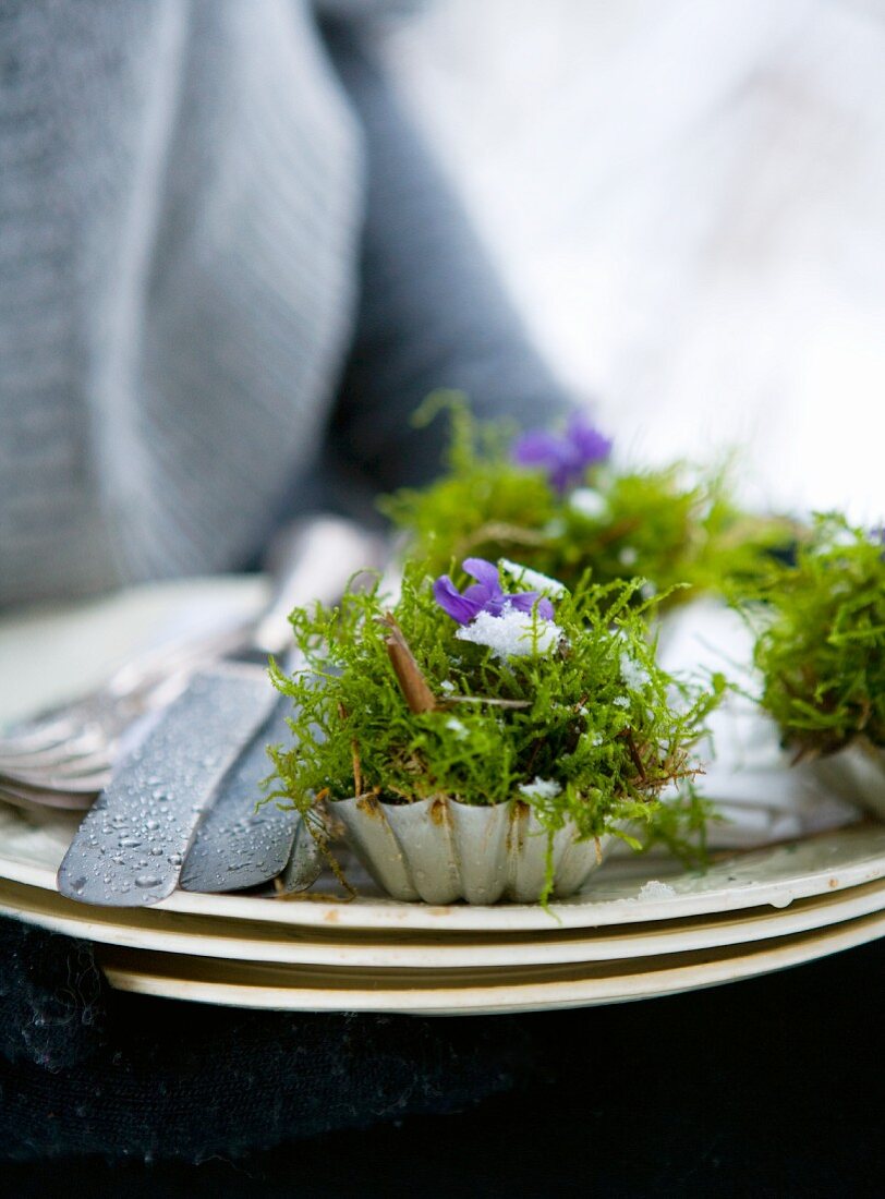 Arrangements of moss and violets in vintage tartlet tins