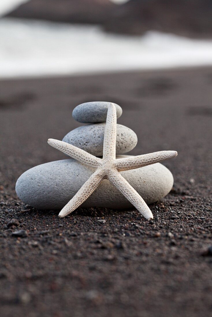 Starfish in front of stacked pebbles on beach