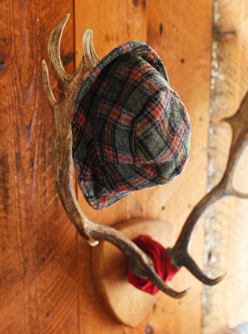 Hat hanging on antlers on wooden wall