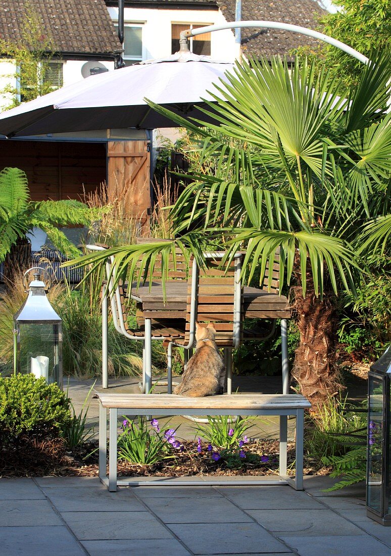 Gartenplätzchen neben Palme mit Sonnenschirm und Outdoormöbeln