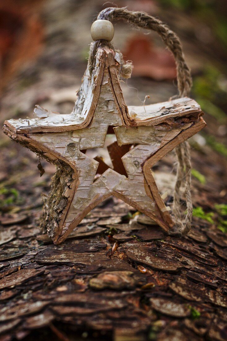 Home-made Christmas star stood on tree trunk