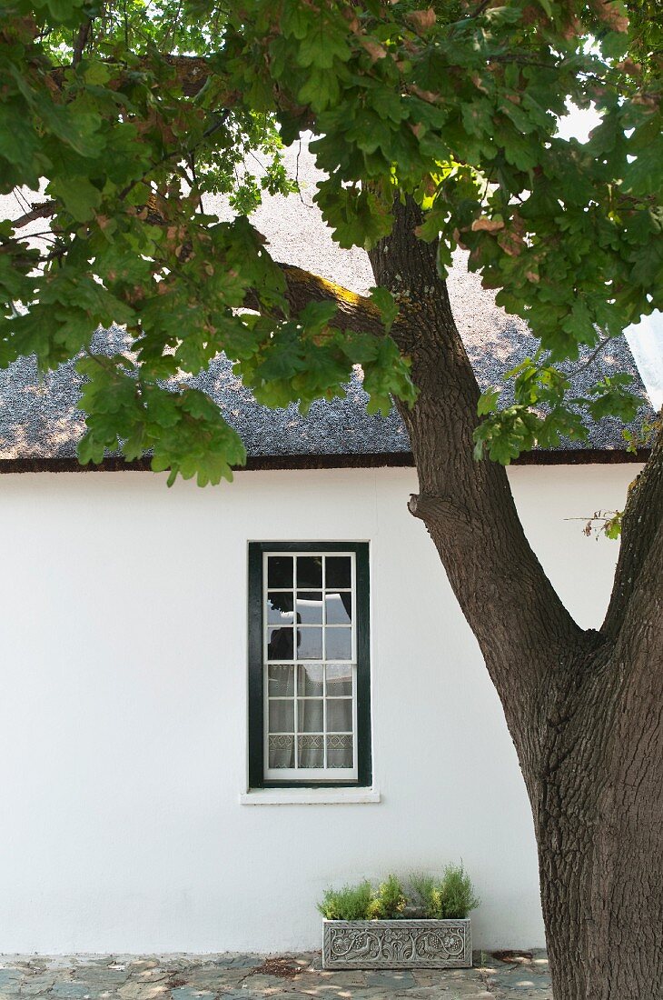 Blick auf schlichte Hausfassade