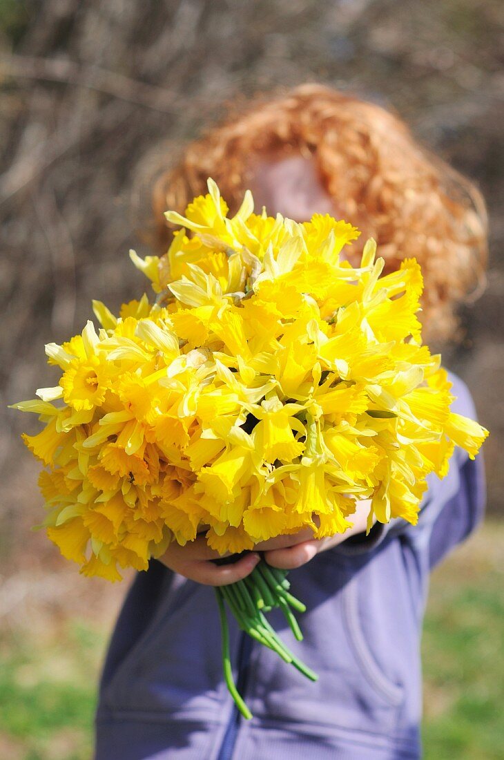 Child holding bouquet of daffodils in front of face