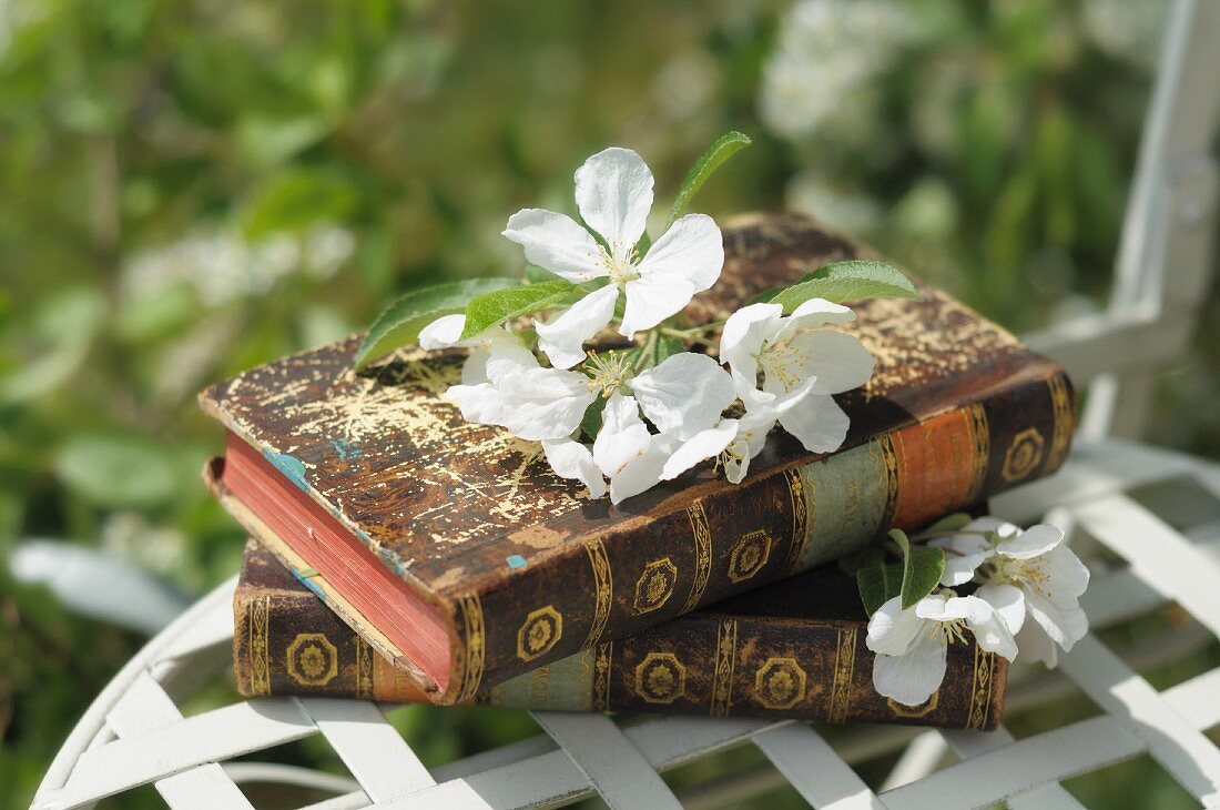 Antiquarische Bücher und Obstblüte auf Gartenstuhl
