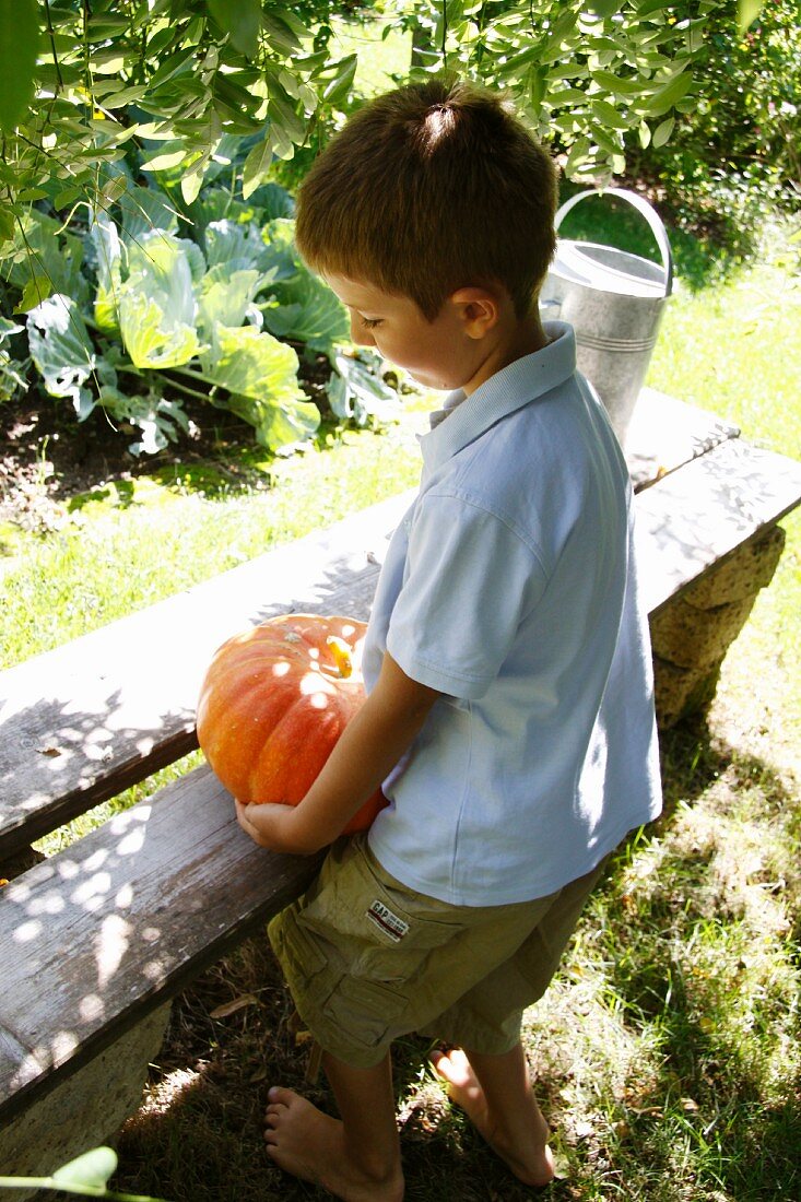 Kleiner Junge trägt Kürbis zu einer Gartenbank