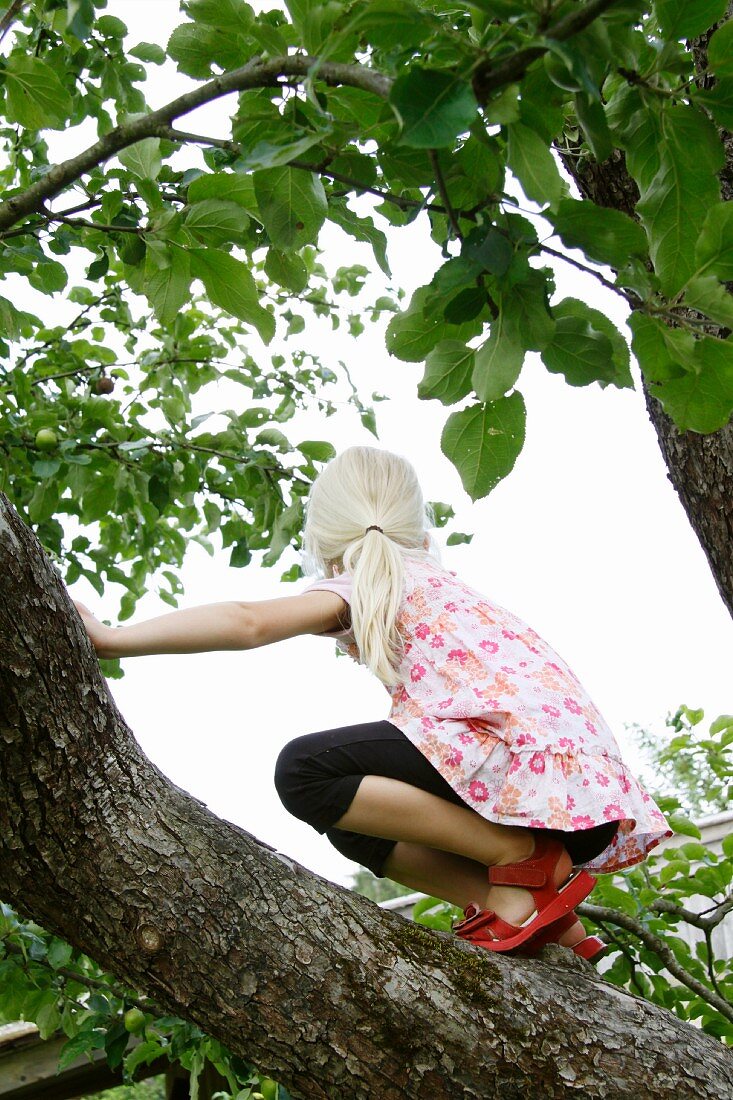 Blondes Mädchen klettert auf einen Baum