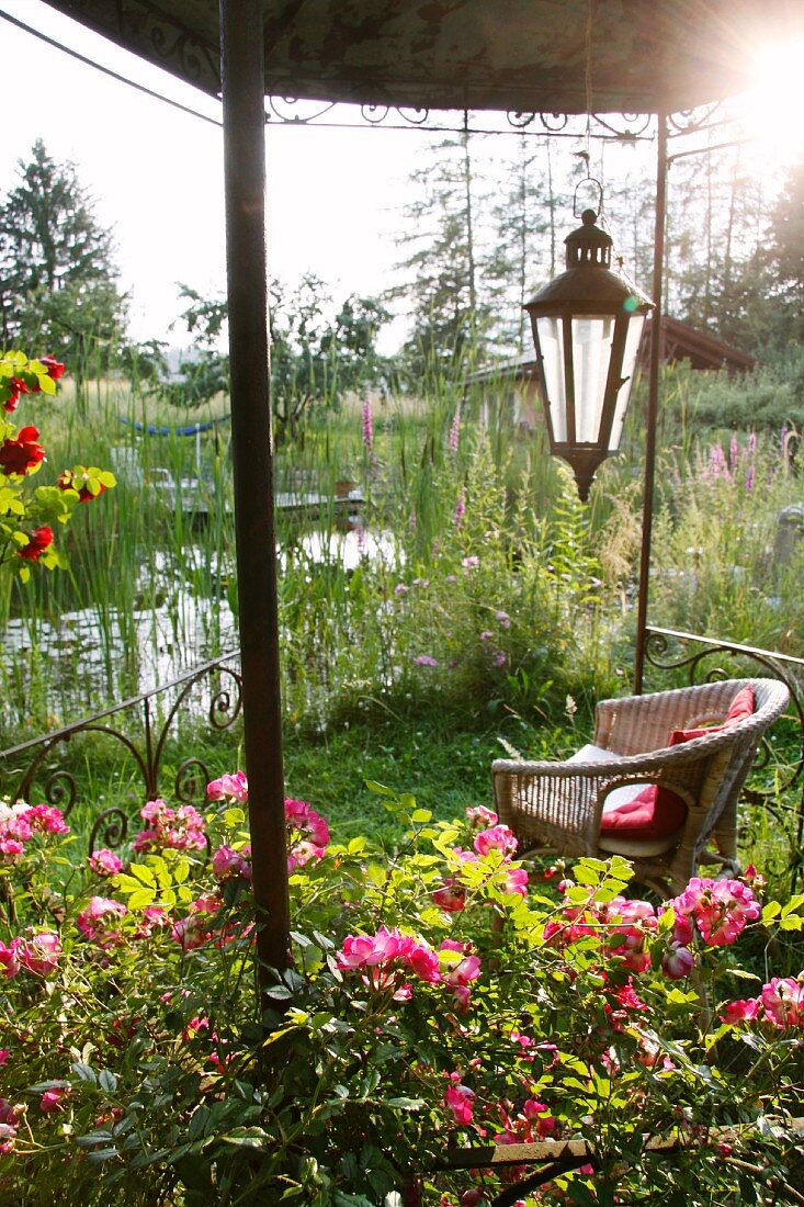 Pavillon mit Rosen, Laterne und Korbstuhl am Gartenteich