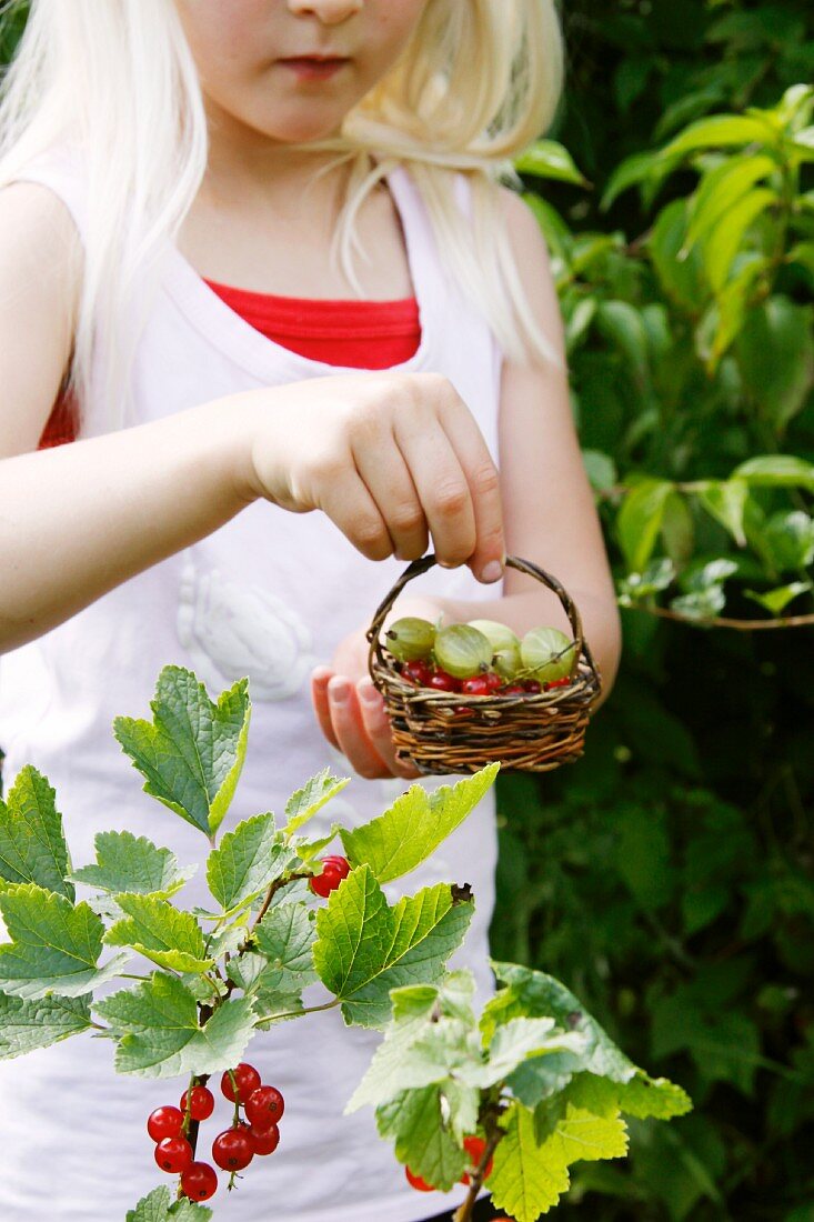 Little blond girl holding a basket of berries