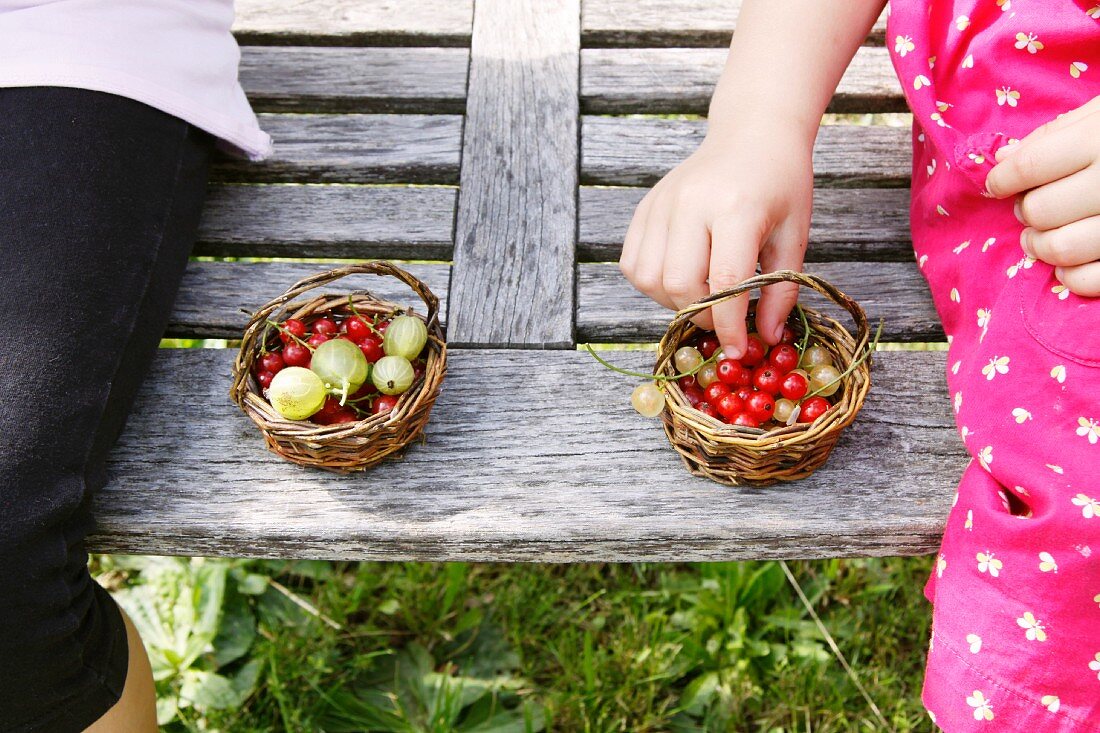 Kinder essen Beeren auf einer Gartenbank