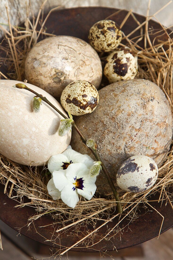 Small and large birds' eggs with pansies in a straw nest