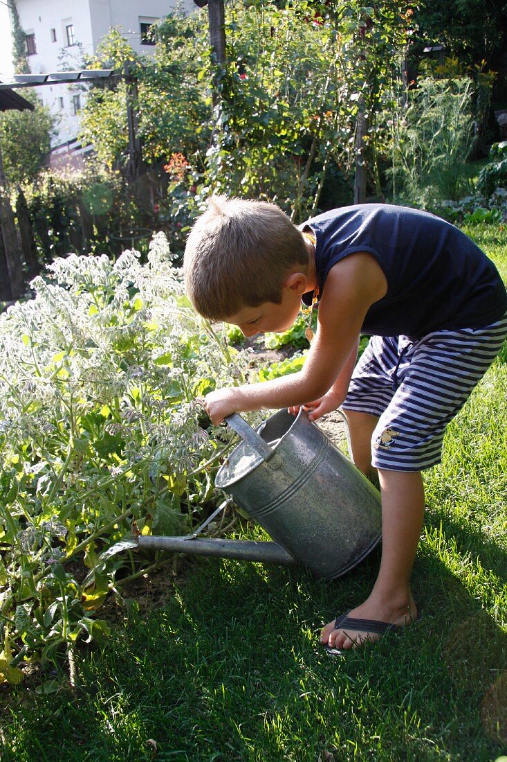 Kleiner Junge giesst Blumen im Garten