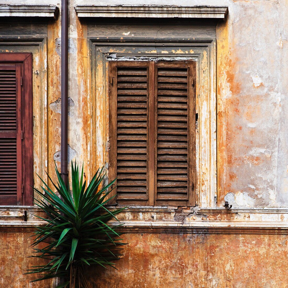 Fensterläden aus Holz bei altem Haus (Rom, Italien)
