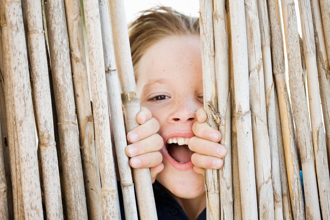 Lächelnder Junge schaut durch einen Zaun