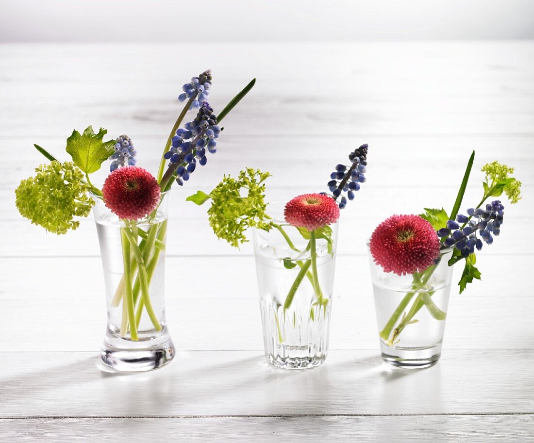 Spring posies in glass vases