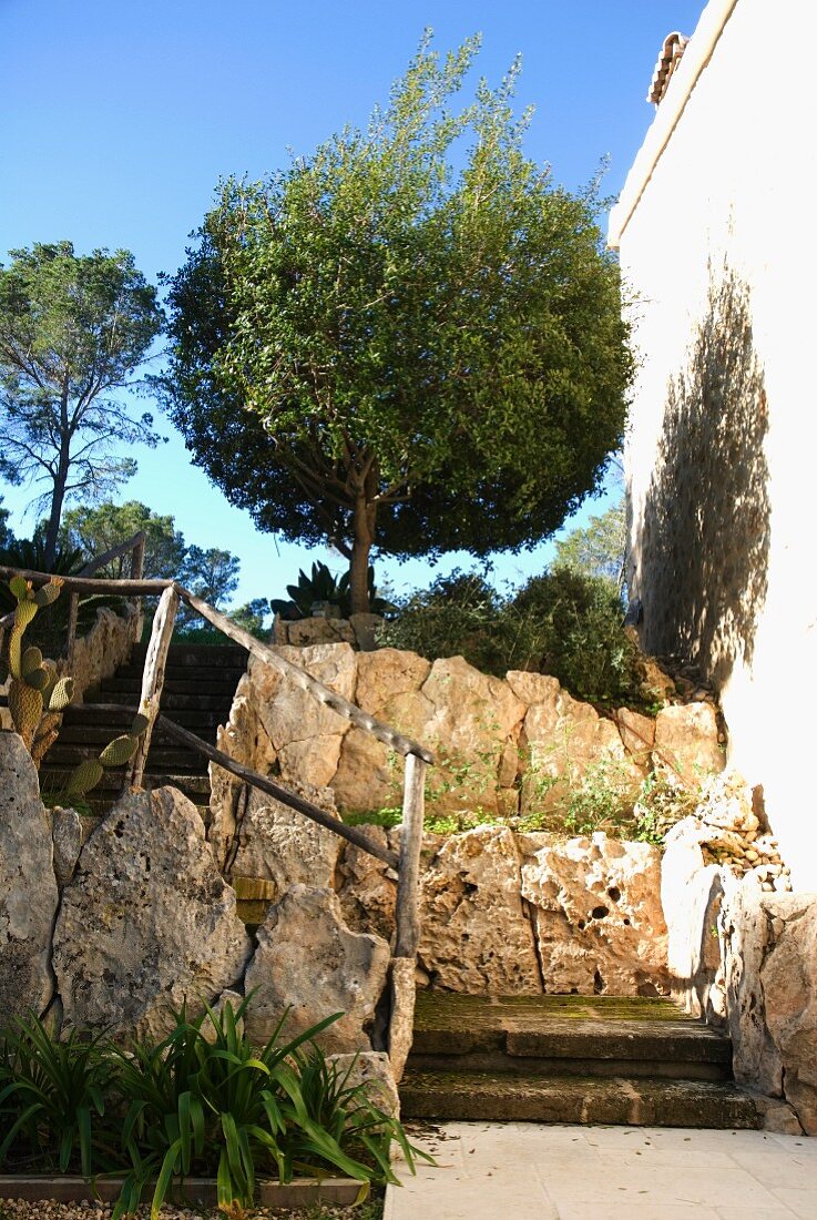 Rustic stairway in Mediterranean garden