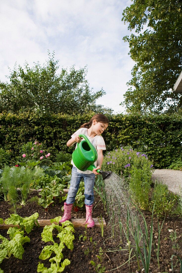 A girl watering plants in a vegetable patch