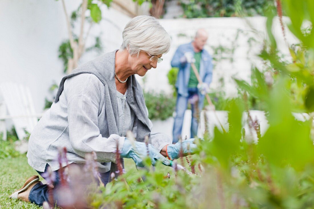 Älteres Paar arbeitet im Garten