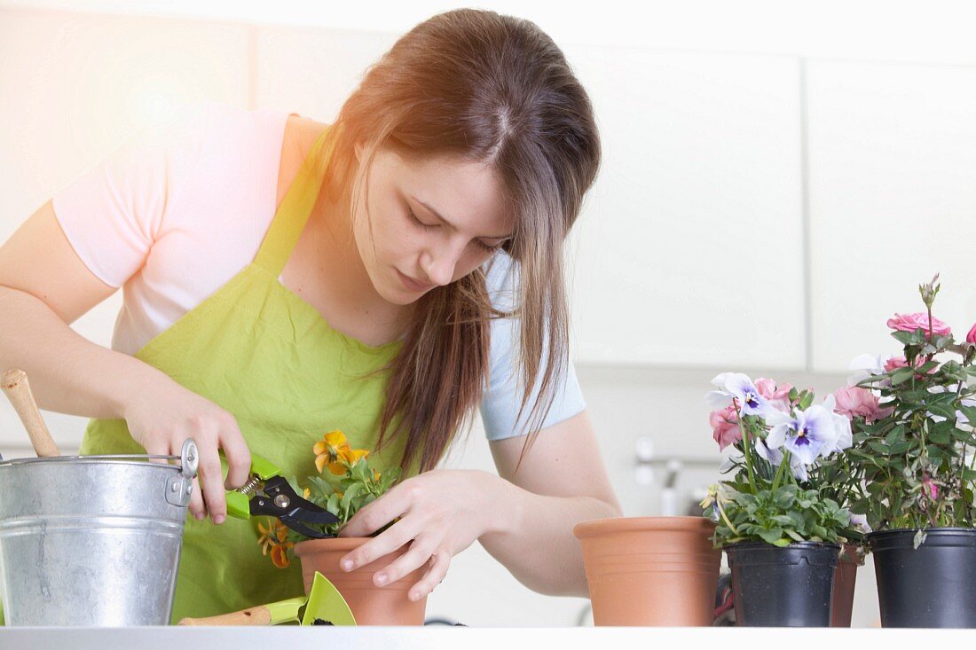 Young woman trimming potted plant