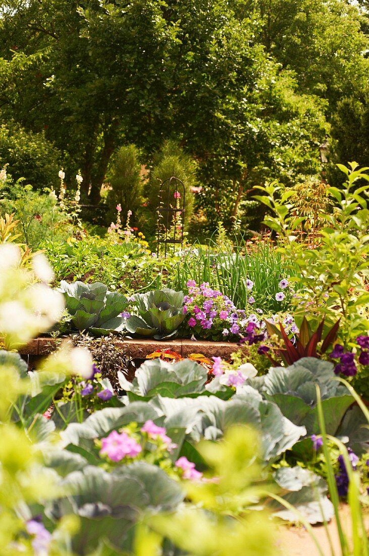 Sommerlicher Gemüsegarten