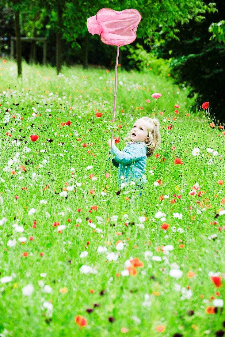 Little girl holding up butterfly net, standing in field of flowers