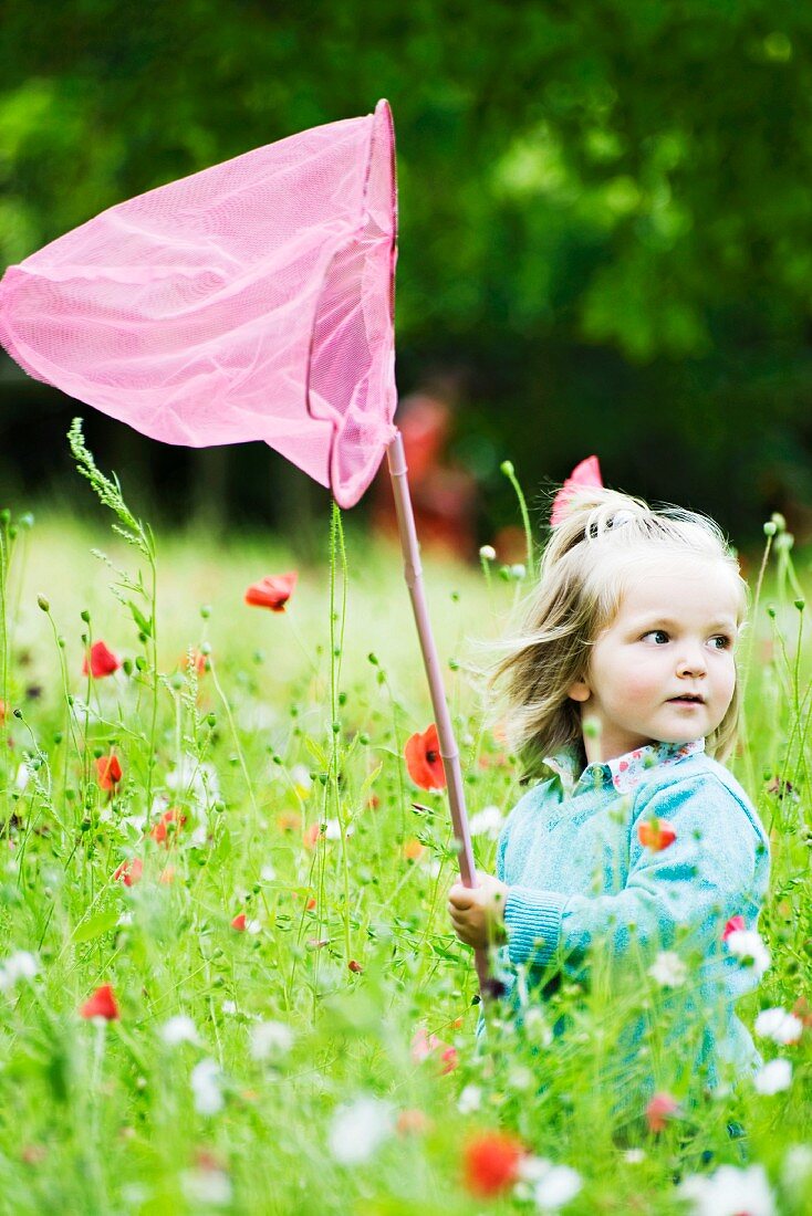 Girl holding up butterfly net, standing in field of flowers
