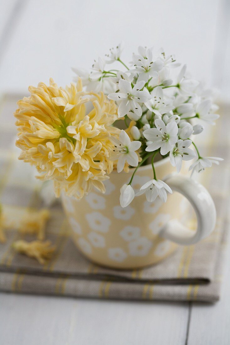 Sträußchen aus Alliumblüten & gelben Hyazinthen in Tasse